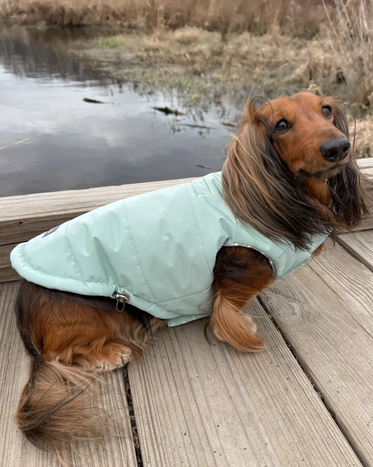 Snowline™ Puffer Dog Coat