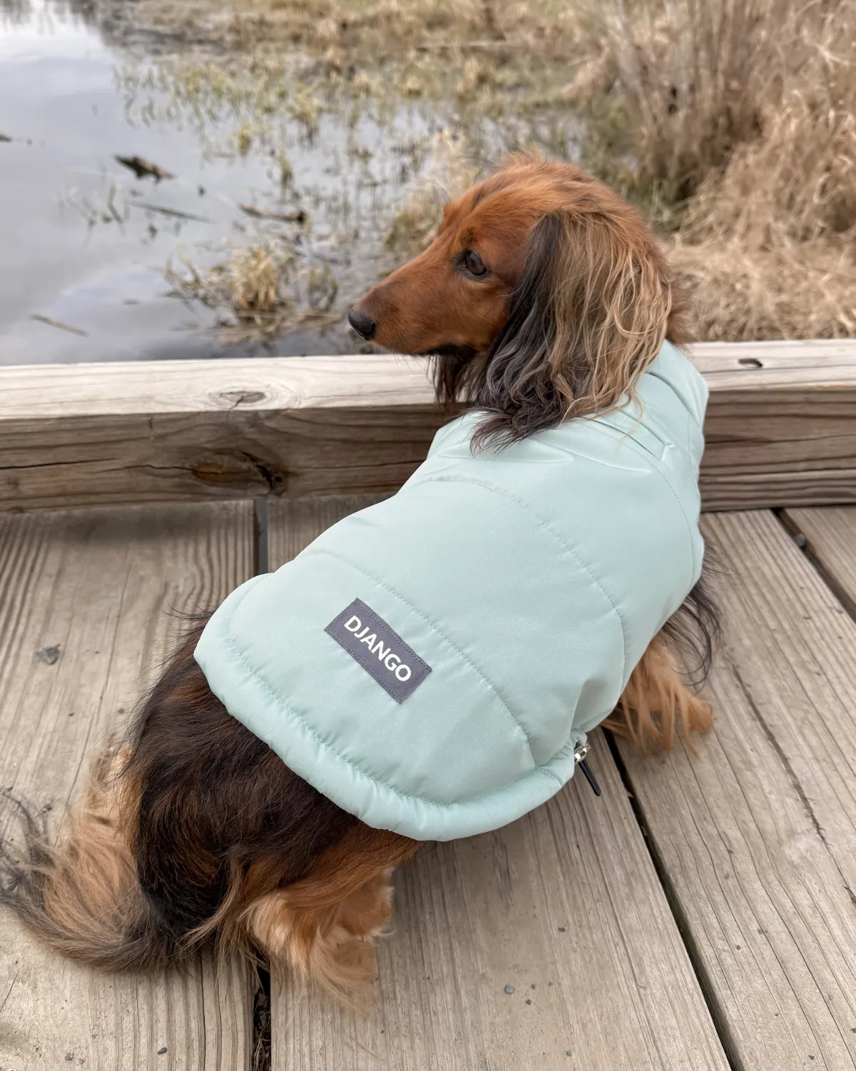 Snowline™ Puffer Dog Coat