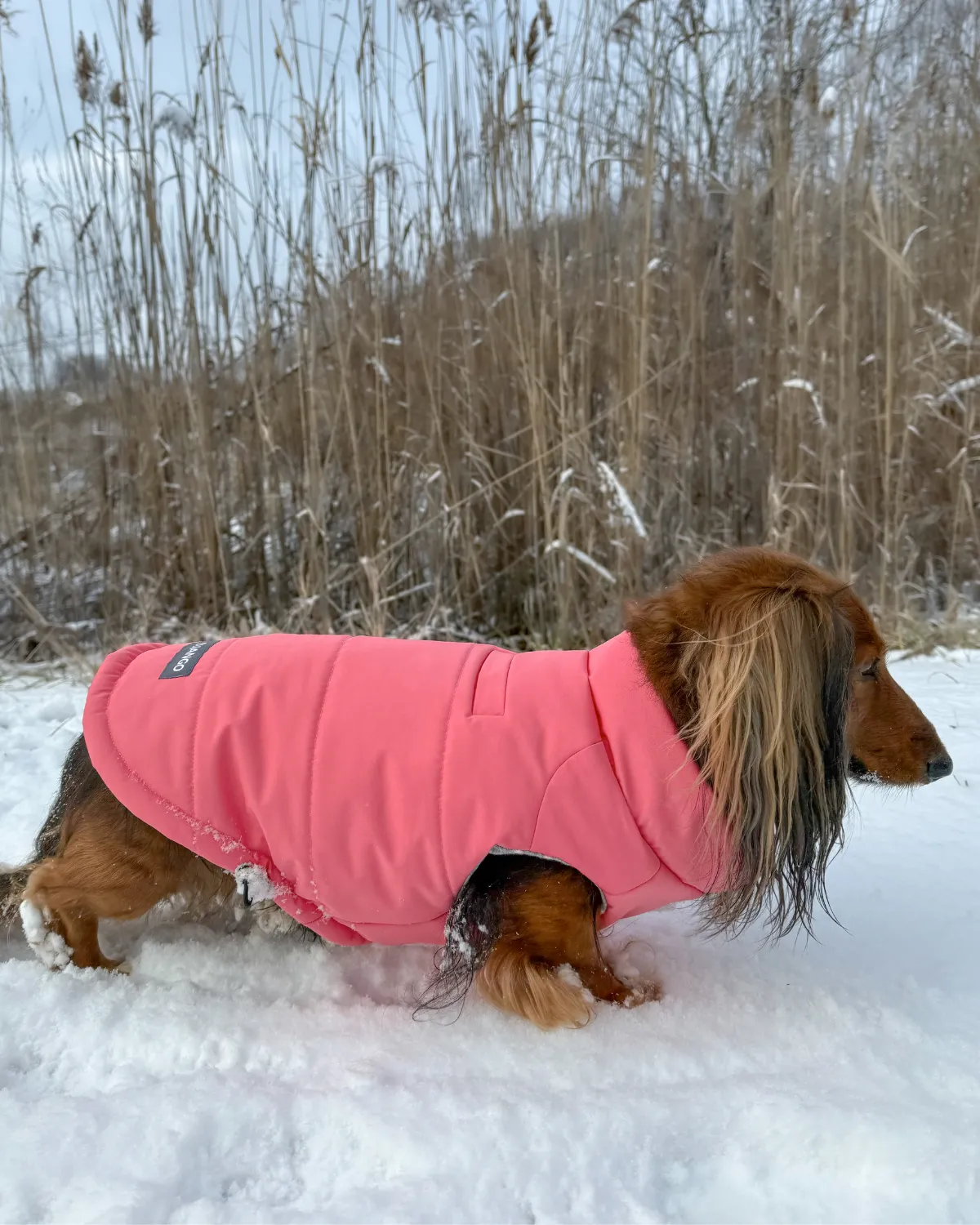 Snowline™ Puffer Dog Coat
