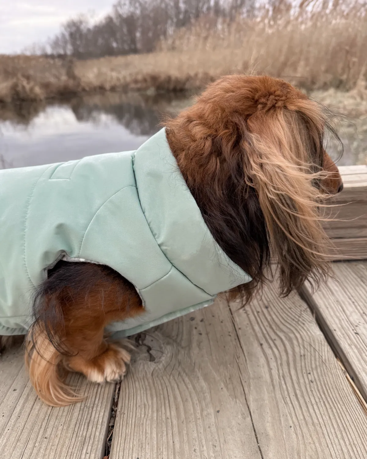 Snowline™ Puffer Dog Coat