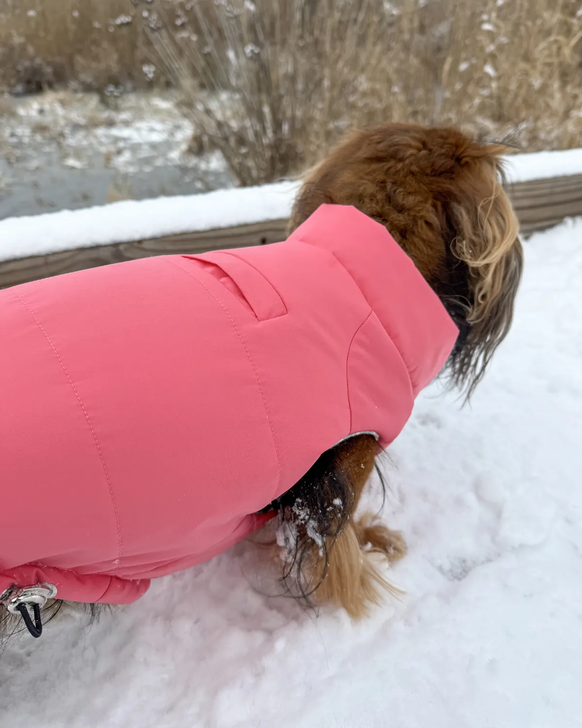 Snowline™ Puffer Dog Coat