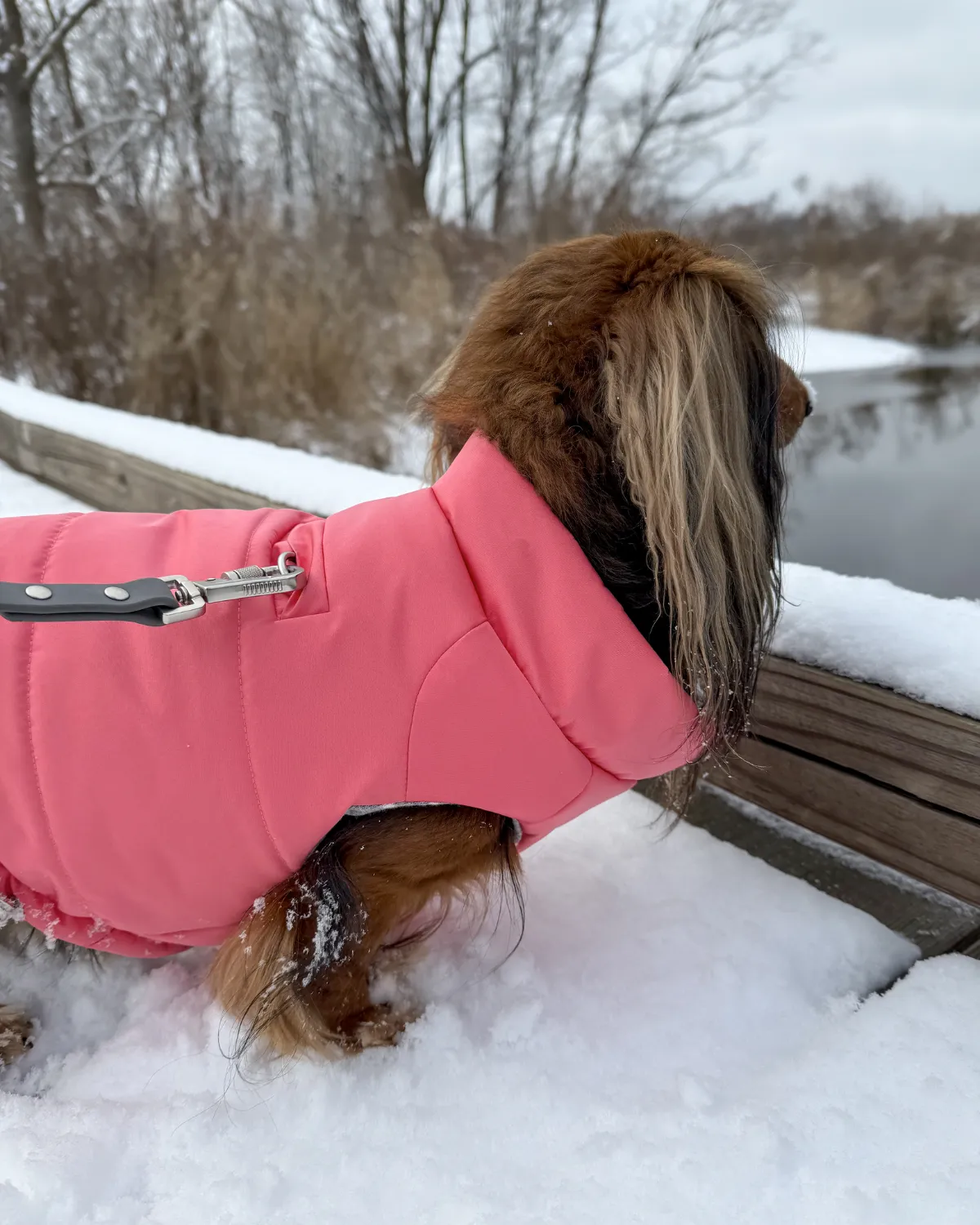 Snowline™ Puffer Dog Coat